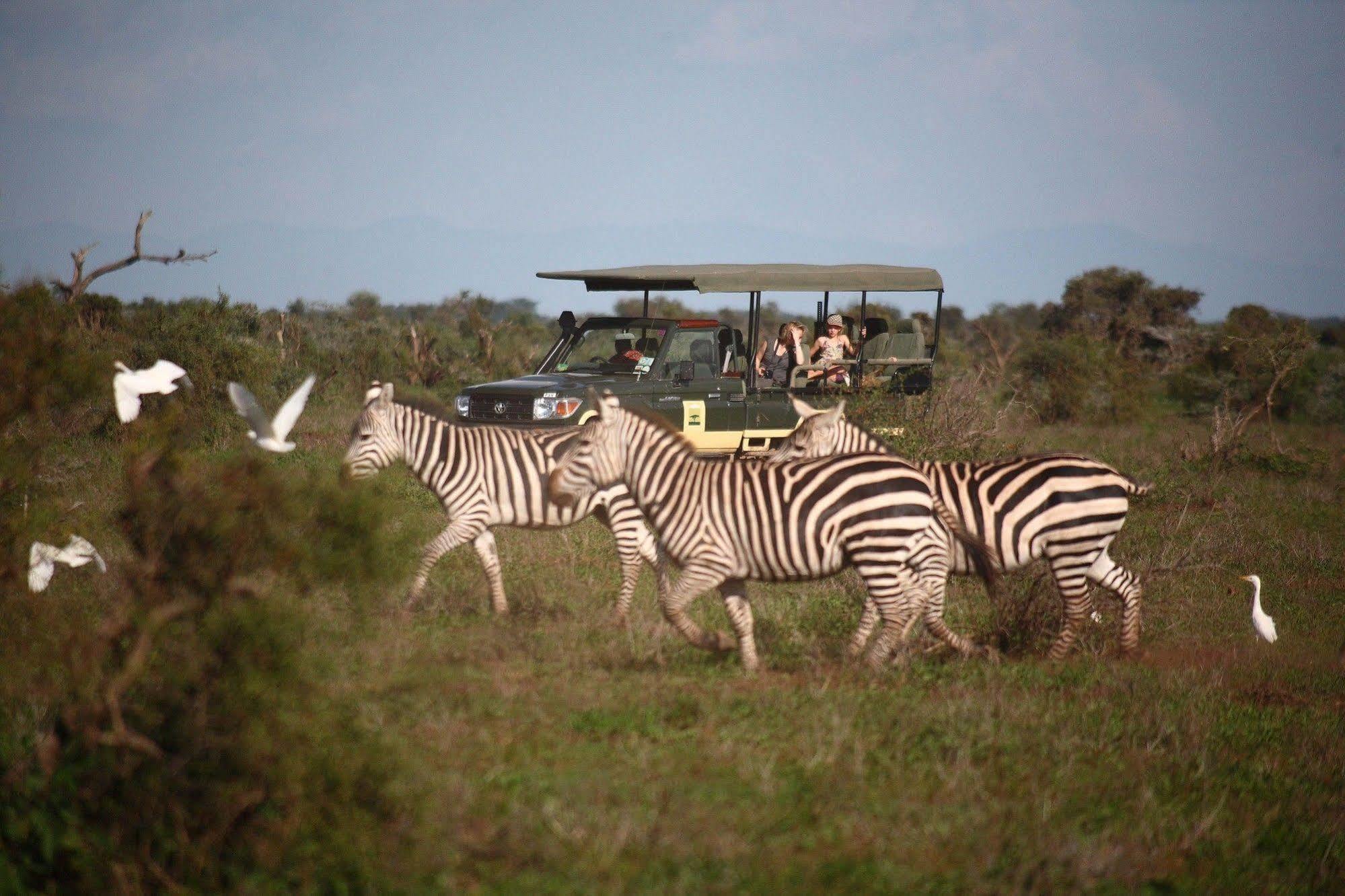 Elewana Tortilis Camp Hotel Amboseli Buitenkant foto